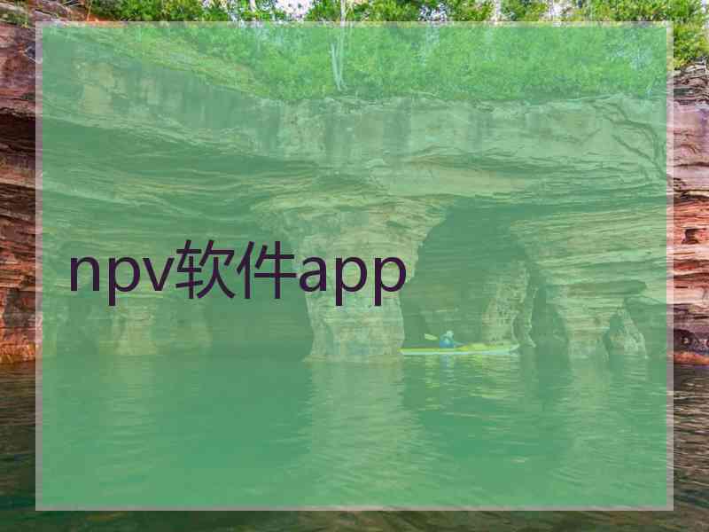 npv软件app